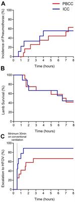 The cardiopulmonary benefits of physiologically based cord clamping persist for at least 8 hours in lambs with a diaphragmatic hernia